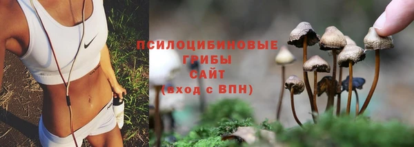 дмт Балабаново