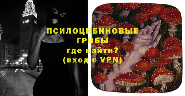 тгк Балахна