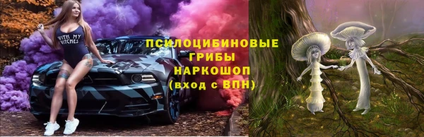 тгк Балахна